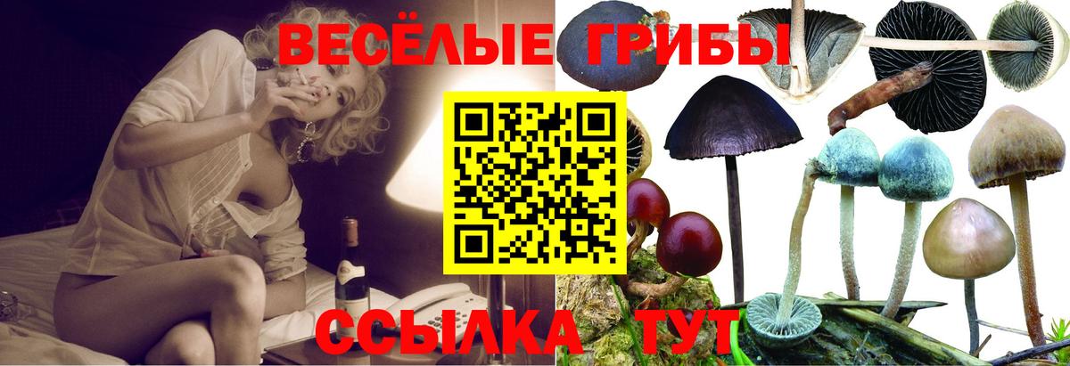 Псилоцибиновые грибы мухоморы Усинск